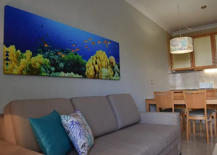 The Navigator - Solaqua 4* アルブフェイラ